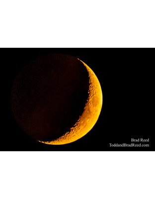 Brad’s Day 264 of 366 - September 20, 2020  