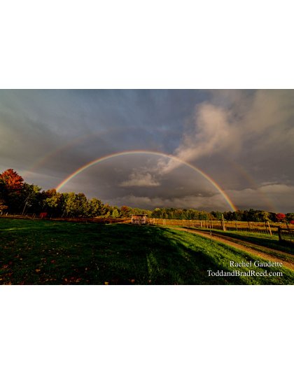 Rachel’s Day 272 of 366 -  September 28, 2020