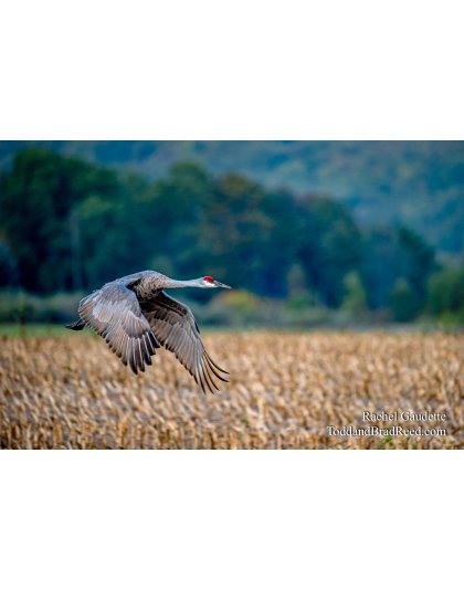 Rachel’s Day 267 of 366 -  September 23, 2020 