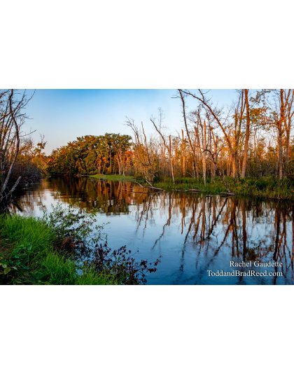 Rachel’s Day 269 of 366 -  September 25, 2020