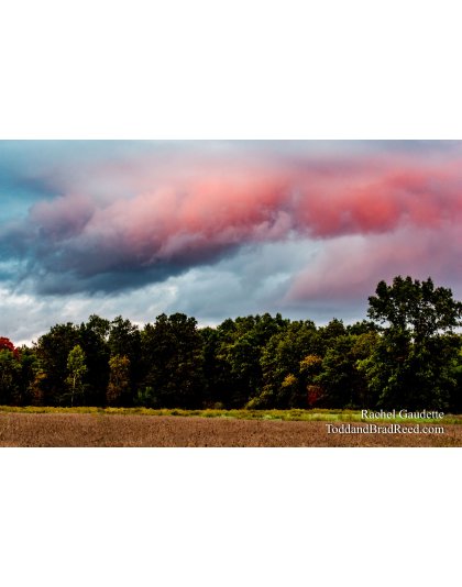 Rachel’s Day 274 of 366 -  September 30, 2020 