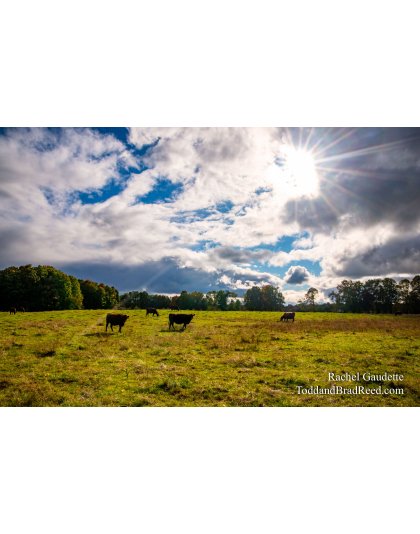 Rachel’s Day 275 of 366 -  October 1, 2020 