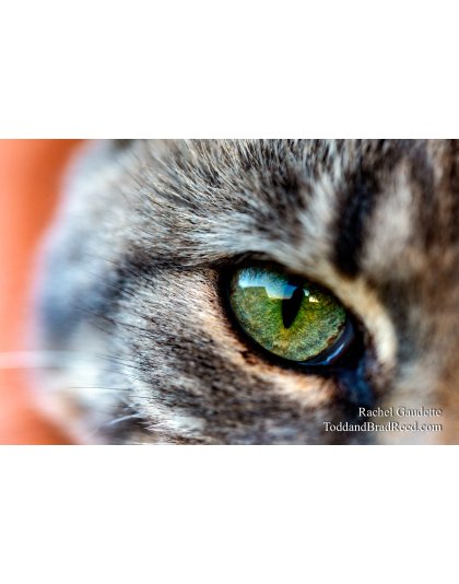 Rachel’s Day 279 of 366 -  October 5, 2020