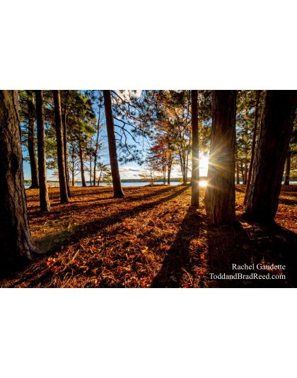 Rachel’s Day 282 of 366 -  October 8, 2020  