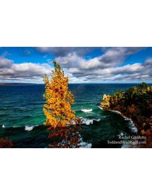 Rachel’s Day 284 of 366 -  October 10, 2020