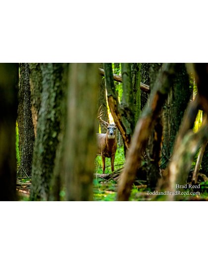 Brad’s Day 268 of 366 - September 24, 2020 