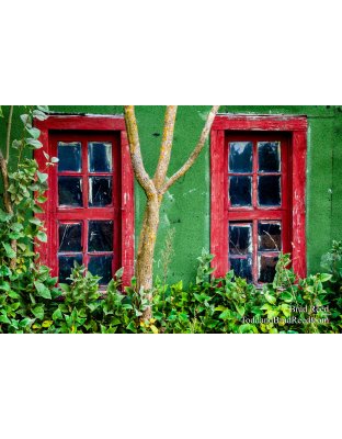 Brad’s Day 271 of 366 - September 27, 2020   