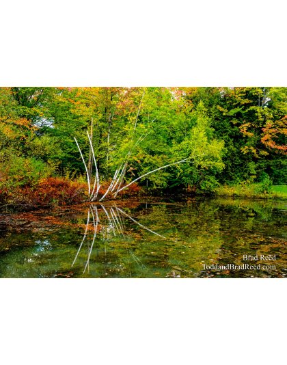 Brad’s Day 273 of 366 - September 29, 2020 