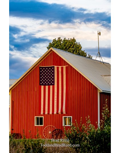 Brad’s Day 274 of 366 - September 30, 2020  