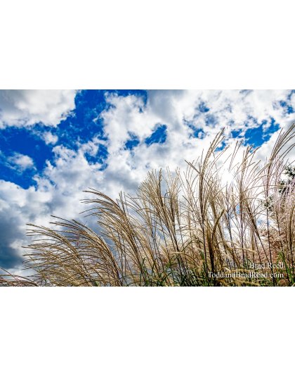 Brad’s Day 276 of 366 - October 2, 2020 