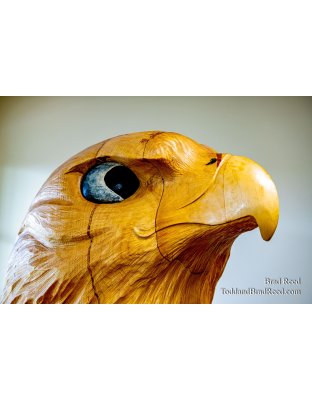 Brad’s Day 277 of 366 - October 3, 2020  