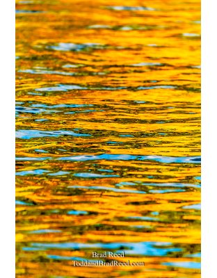 Brad’s Day 282 of 366 - October 8, 2020  