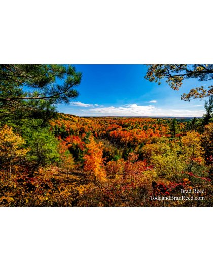 Brad’s Day 285 of 366 - October 11, 2020