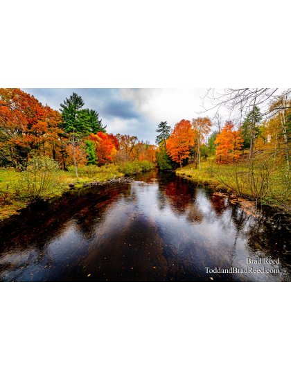 Brad’s Day 289 of 366 - October 15, 2020 