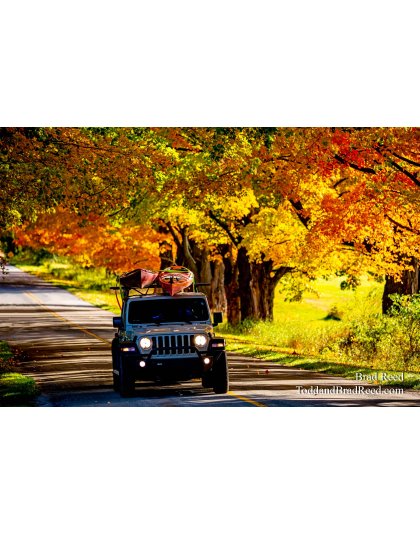 Brad’s Day 290 of 366 - October 16, 2020