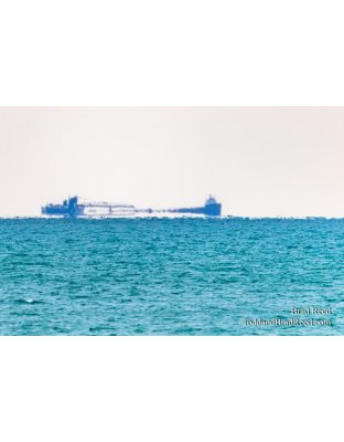 Brad’s Day 293 of 366 - October 19, 2020 