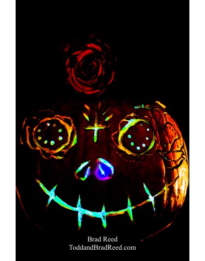 Brad’s Day 297 of 366 - October 23, 2020  