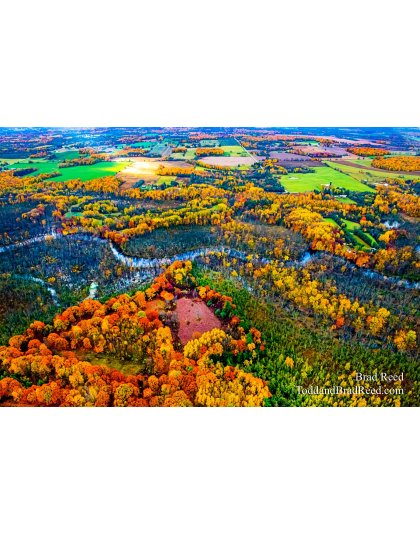 Brad’s Day 298 of 366 - October 24, 2020   