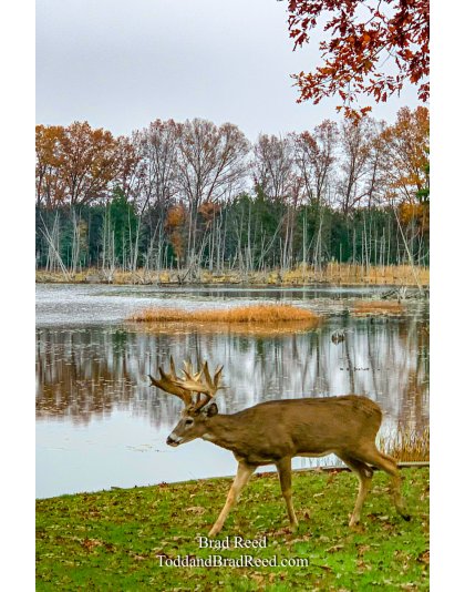 Brad’s Day 300 of 366 - October 26, 2020 