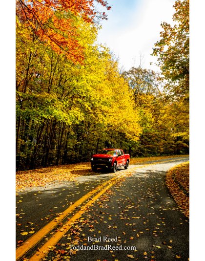 Brad’s Day 305 of 366 - October 31, 2020  