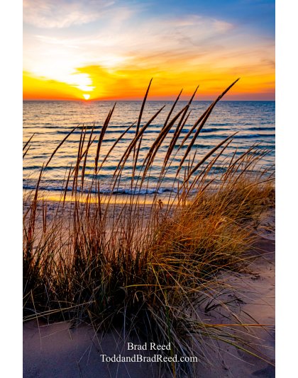 Brad’s Day 311 of 366 - November 6, 2020 