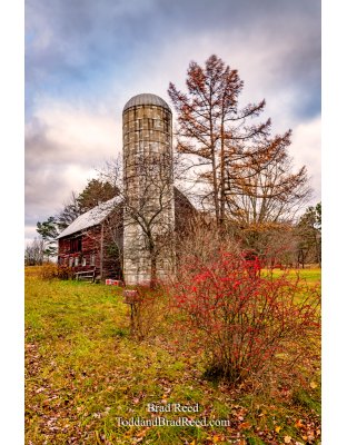 Brad’s Day 316 of 366 - November 11, 2020 