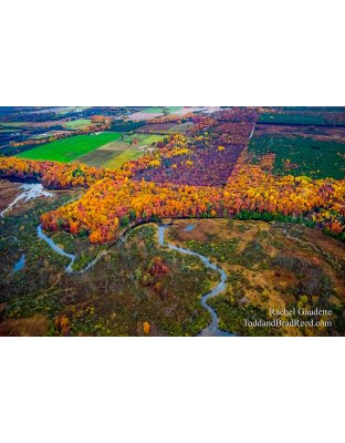 Rachel Gaudette’s Day 298 of 366 -  October 24, 2020