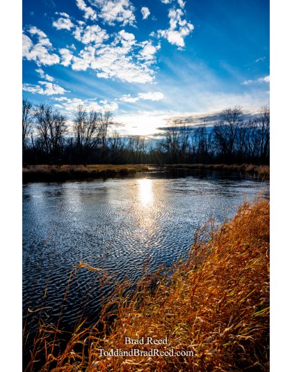 Brad’s Day 319 of 366 - November 14, 2020  