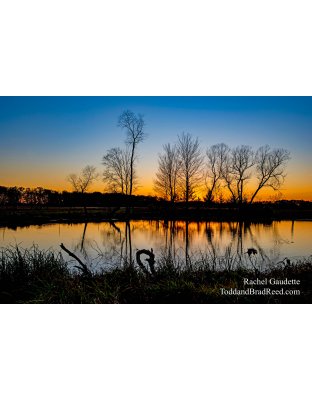 Rachel Gaudette’s Day 308 of 366 -  November 3, 2020