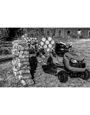 Rachel’s Day 319 of 366 -  November 14, 2020