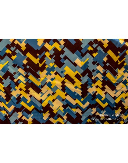 Rachel’s Day 321 of 366 -  November 16, 2020