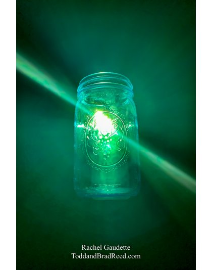 Rachel’s Day 325 of 366 -  November 20, 2020