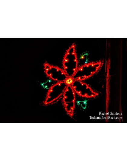 Rachel’s Day 332 of 366 -  November 27, 2020