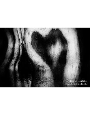 Rachel’s Day 333 of 366 -  November 28, 2020