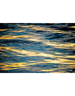 Rachel’s Day 334 of 366 -  November 29, 2020