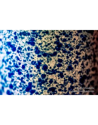 Rachel’s Day 335 of 366 -  November 30, 2020