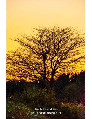 Rachel’s Day 281 of 366 -  October 7, 2020