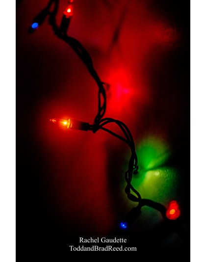 Rachel Gaudette’s Day 339 of 366 -  December 4, 2020