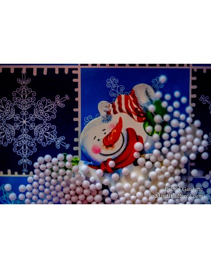 Rachel Gaudette’s Day 340 of 366 -  December 5, 2020