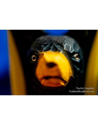 Rachel Gaudette’s Day 341 of 366 -  December 6, 2020 