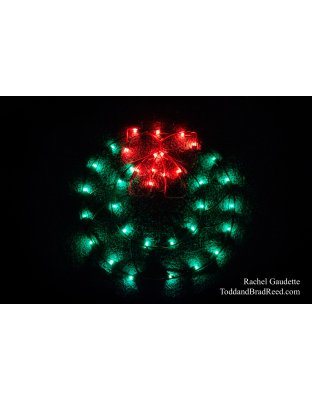 Rachel Gaudette’s Day 342 of 366 -  December 7, 2020 