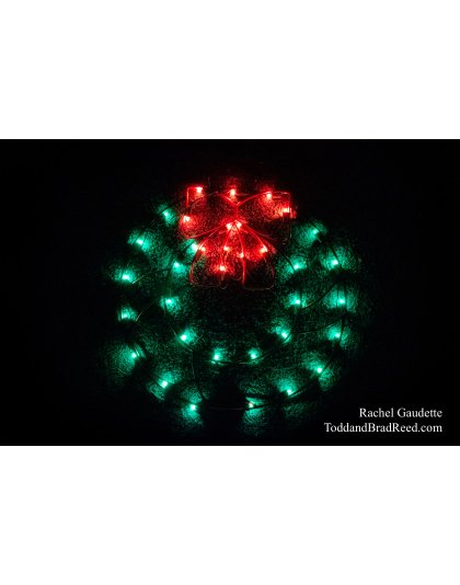 Rachel Gaudette’s Day 342 of 366 -  December 7, 2020 