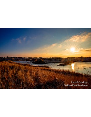 Rachel Gaudette’s Day 344 of 366 -  December 9, 2020