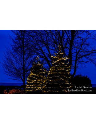 Rachel Gaudette’s Day 346 of 366 -  December 11, 2020 