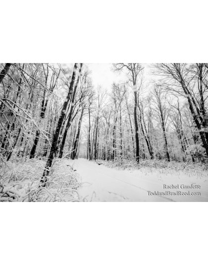 Rachel Gaudette’s Day 347 of 366 -  December 12, 2020