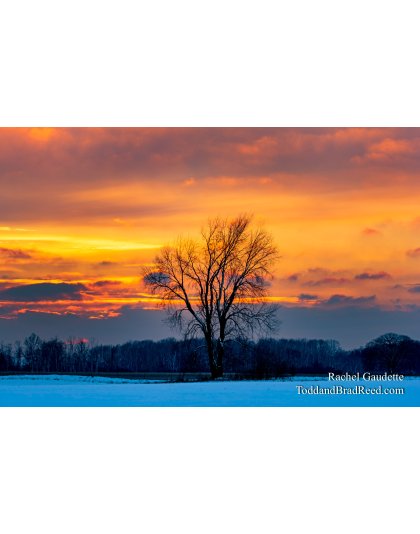 Rachel Gaudette’s Day 353 of 366 -  December 18, 2020