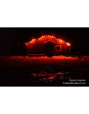 Rachel Gaudette’s Day 354 of 366 -  December 19, 2020