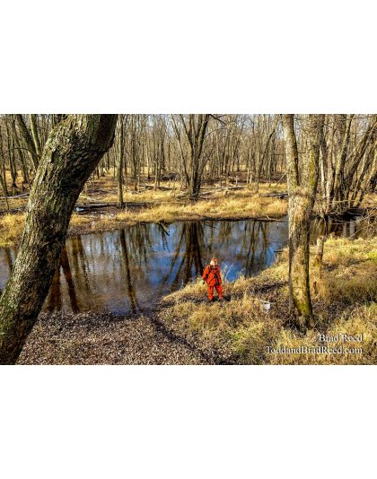 Brad’s Day 323 of 366 - November 18, 2020