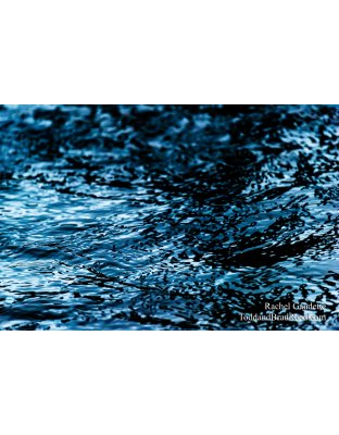 Rachel’s Day 357 of 366 -  December 22, 2020