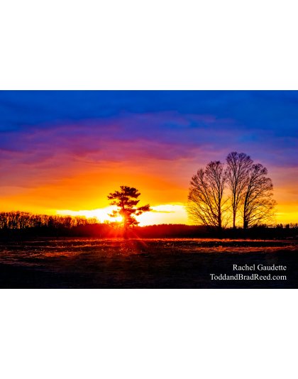 Rachel’s Day 358 of 366 -  December 23, 2020